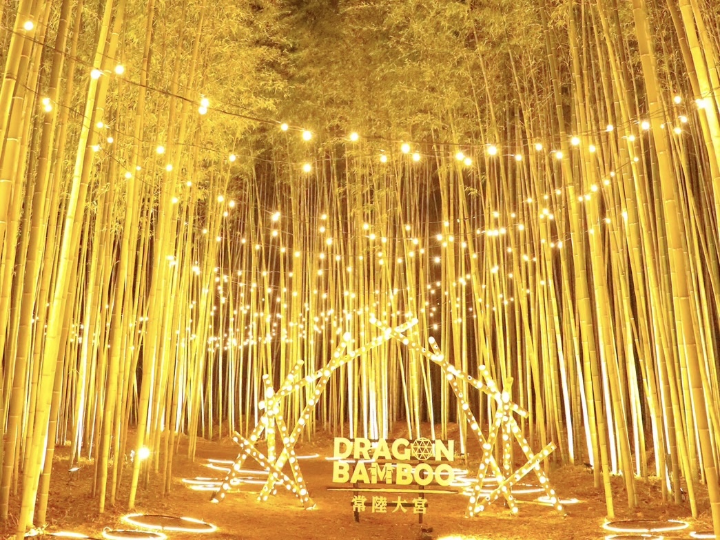 DRAGON BAMBOO